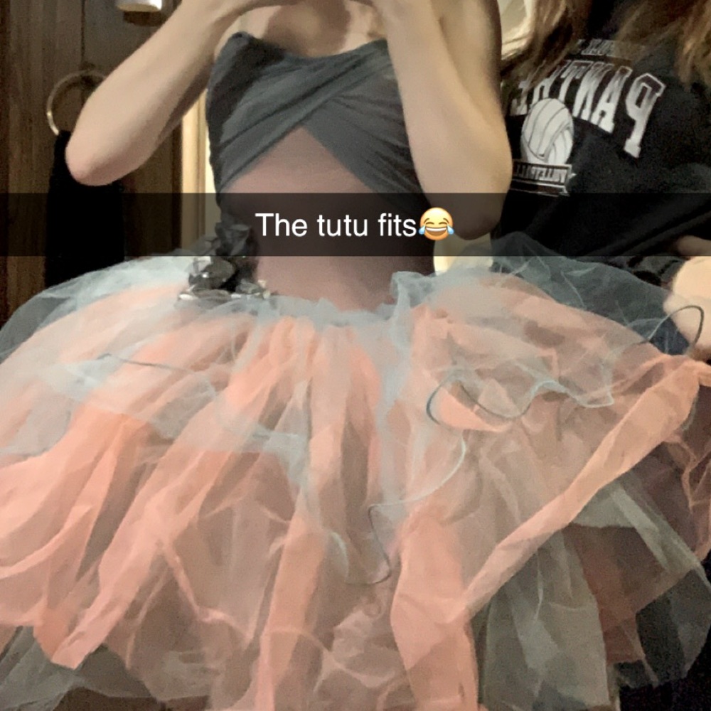 Pink and gray ballet tutu